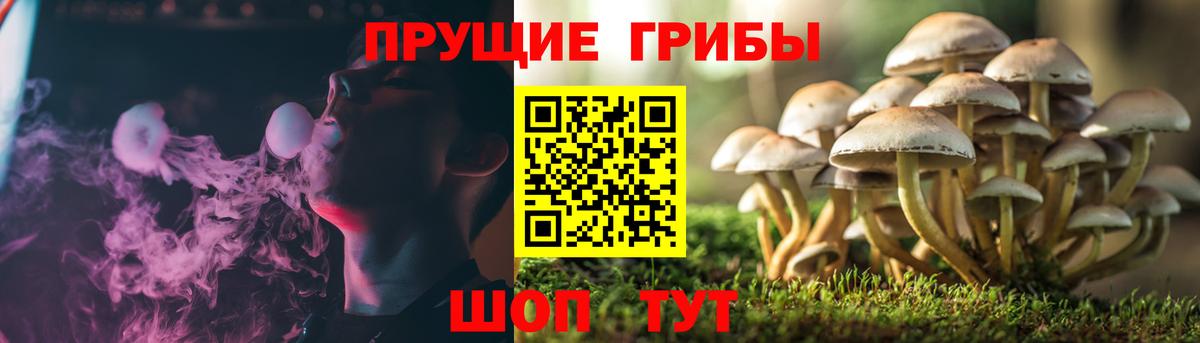 Каннабис  Гашиш  Конопля  Керчь  Мефедрон   Вход с VPN 